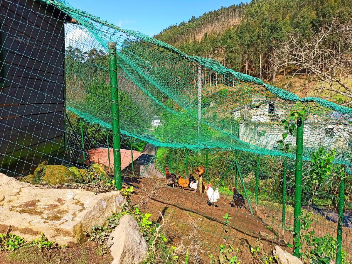 Casa Carmelo Villa บีเวโร ภายนอก รูปภาพ
